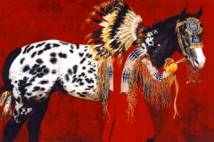 The Appaloosa